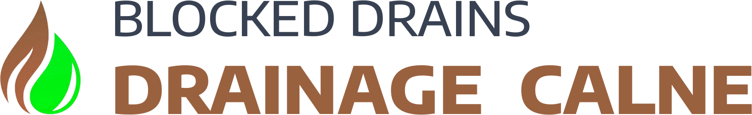 website logo